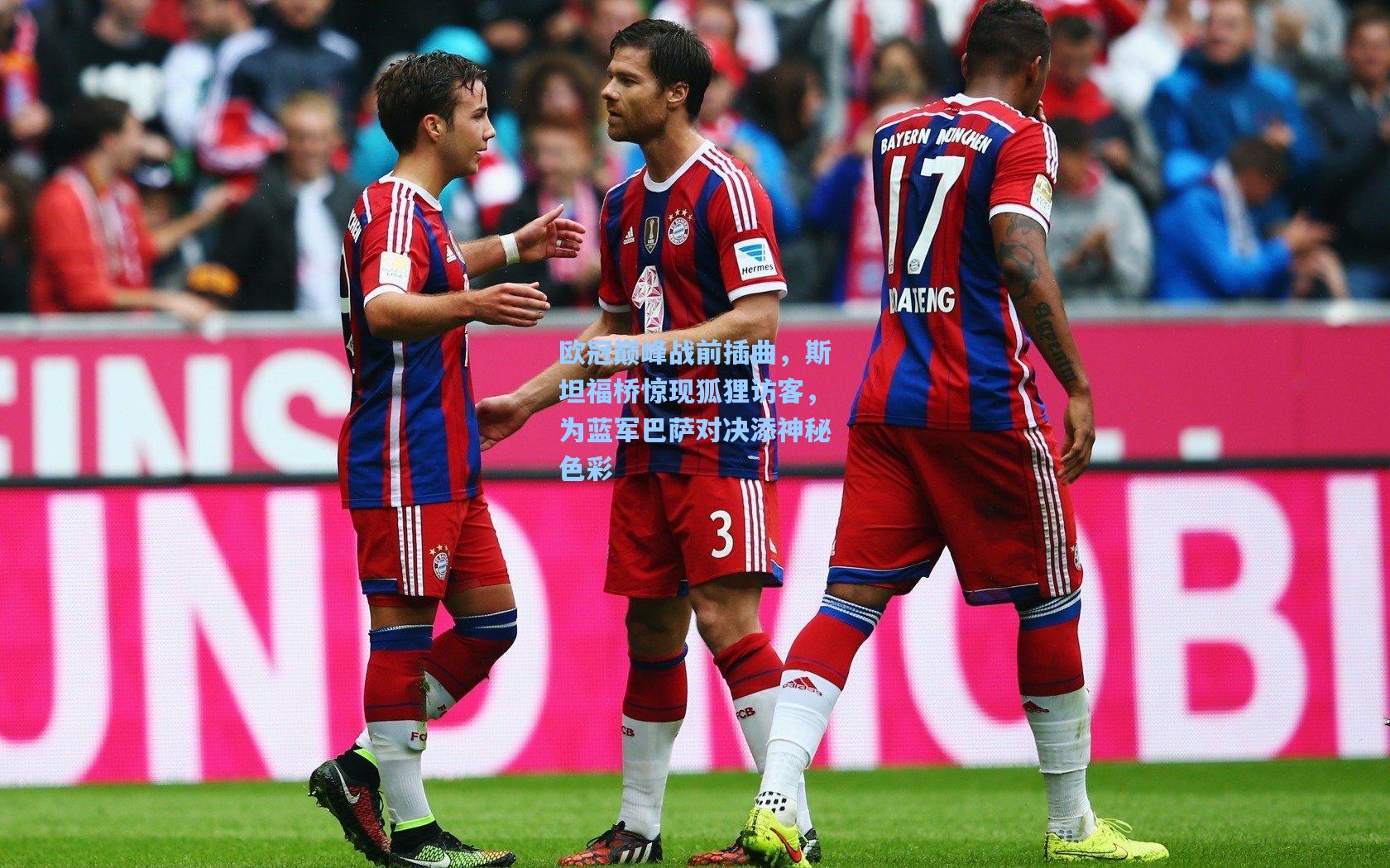 mk体育官网：欧冠巅峰战前插曲，斯坦福桥惊现狐狸访客，为蓝军巴萨对决添神秘色彩